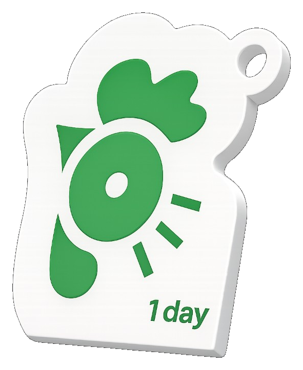 1-day Pass