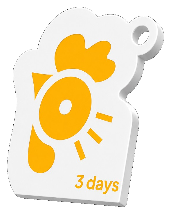 3-day Pass